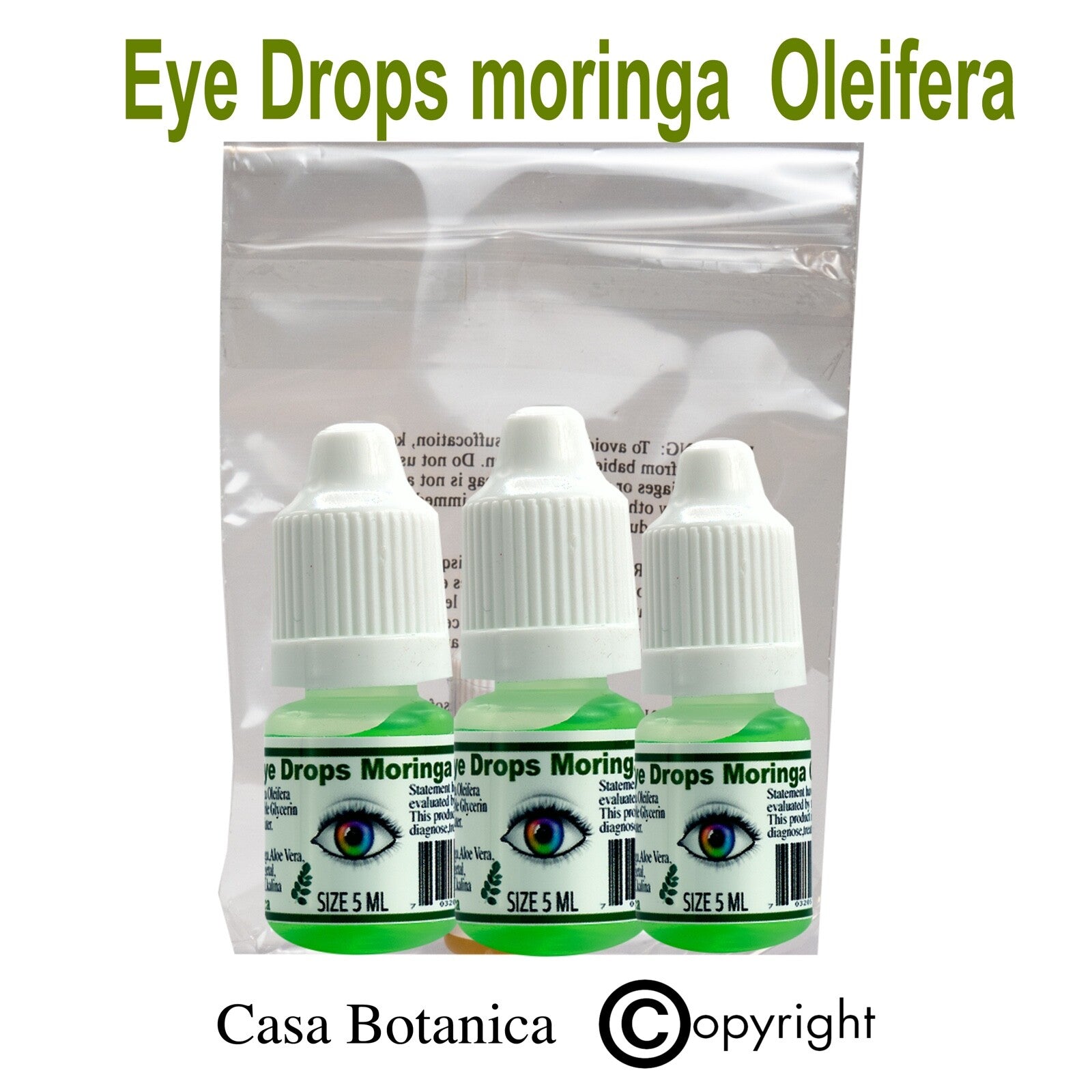 3 pcs  Moringa Oleifera 5 mil Casa Botanica